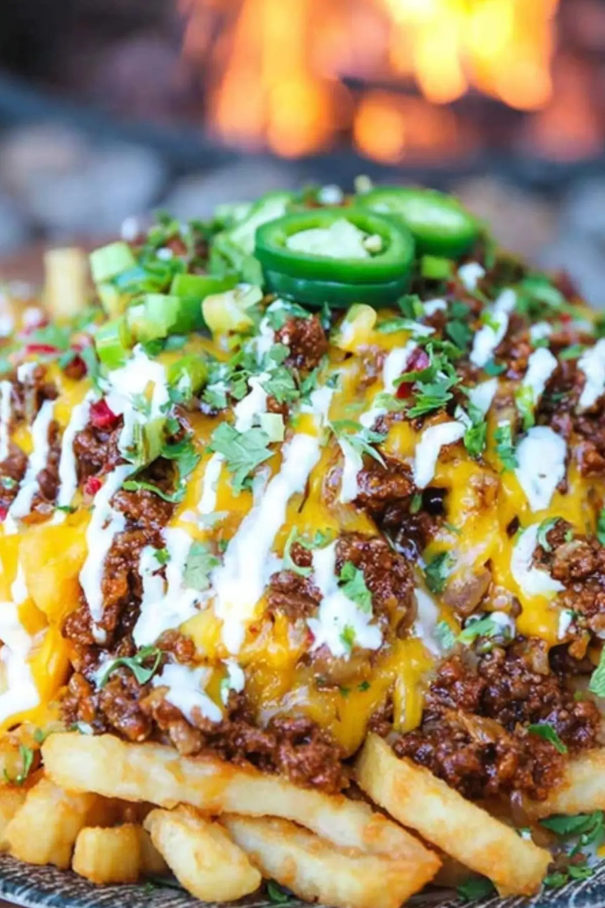 chili cheese fries