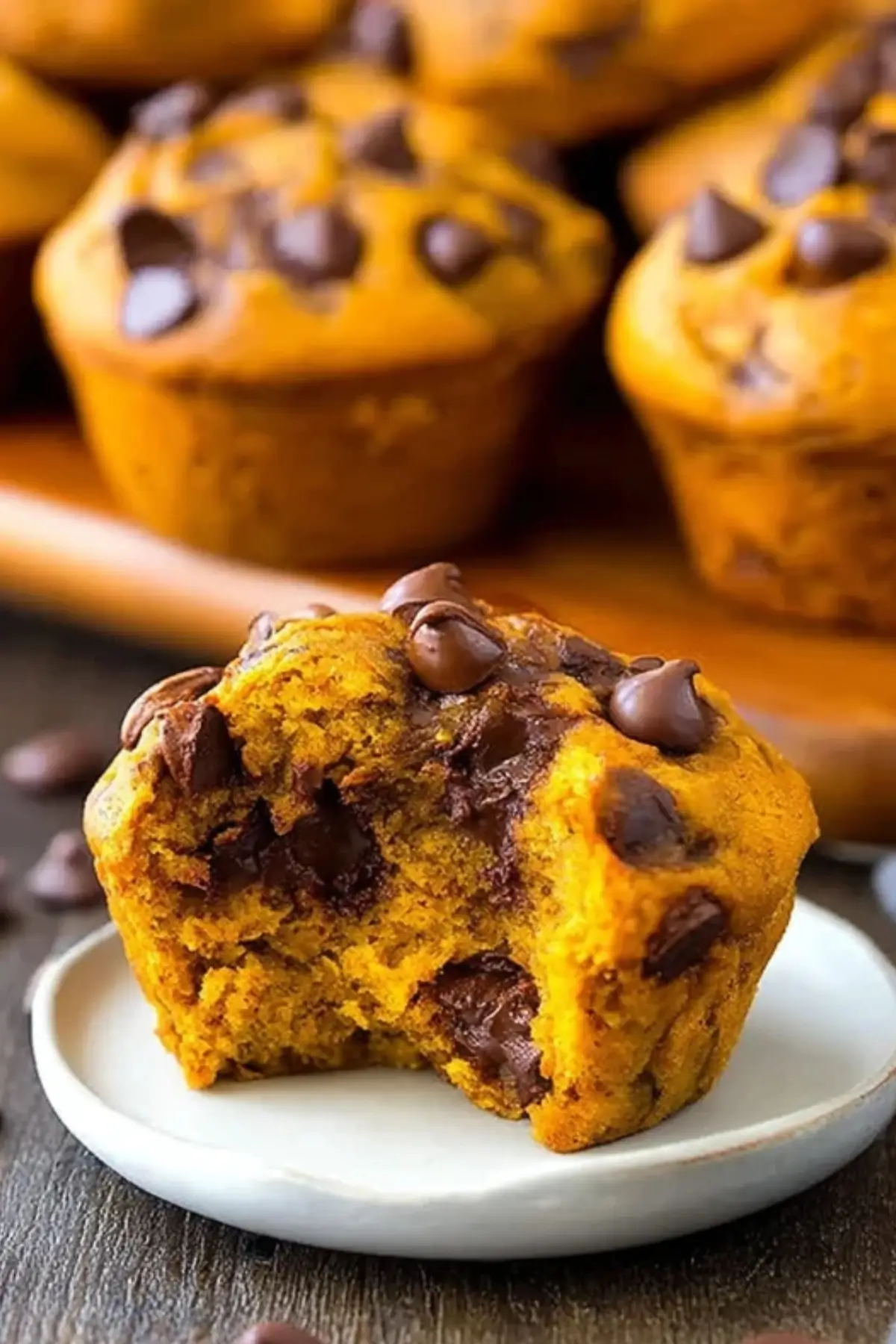 pumpkin chocolate chip muffins