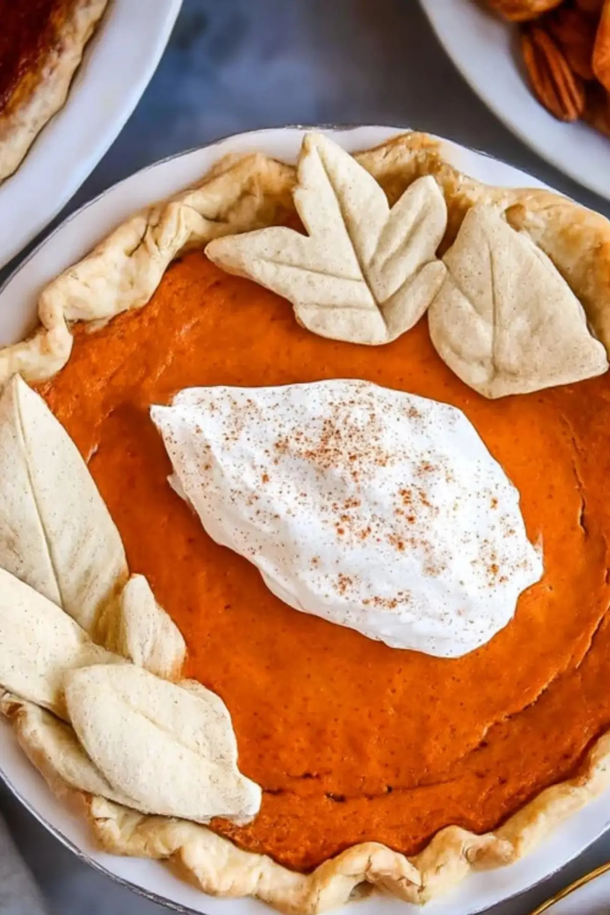 Best Pumpkin Pie Recipe
